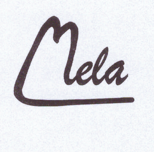 Handytasche Filztasche aus Filz handgemacht