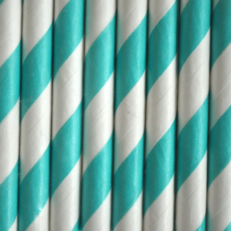 Paper straws biodegradable 25 pieces paper straws