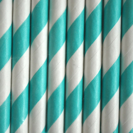 Paper straws biodegradable 25 pieces paper straws