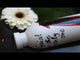 x 24bottles Capsule Collection clima bottle 